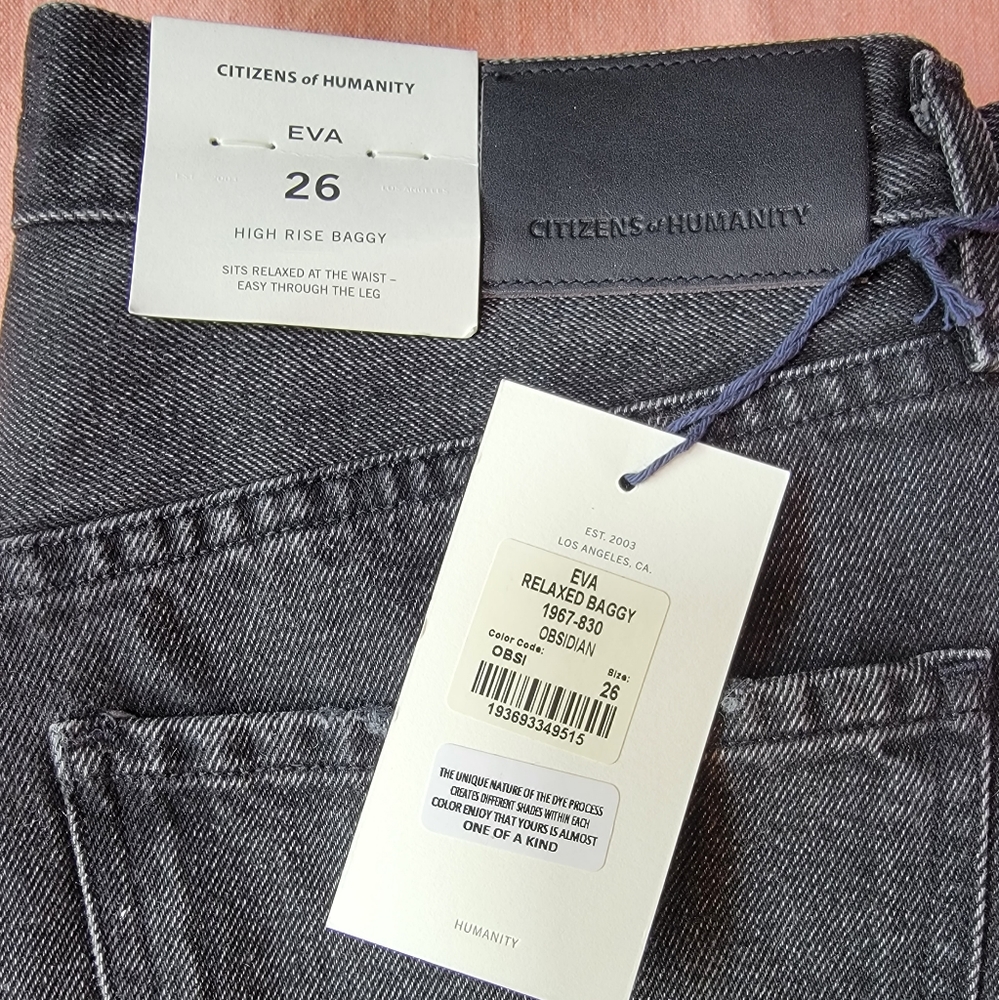 Citizens of Humanity Eva High Rise Baggy